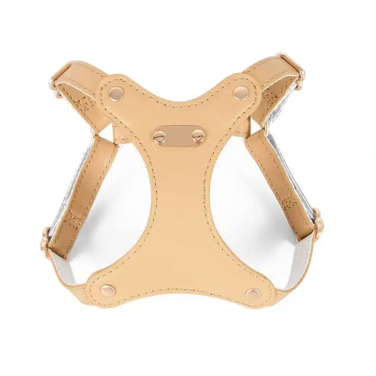 Ensemble harnais et laisse en cuir petit chien 5