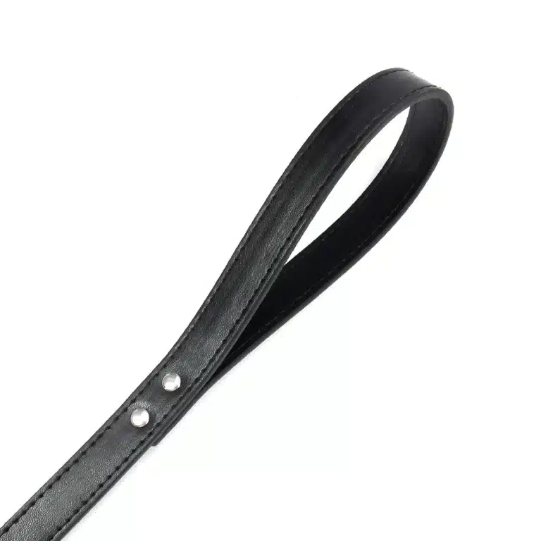 Laisse pour chien en cuir noir 4