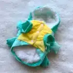 Déguisement chien pokemon carapuce 2