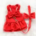 Harnais robe rouge chihuahua + laisse 1