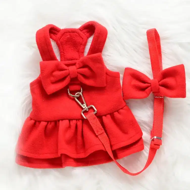 Harnais robe rouge chihuahua + laisse 1
