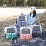 Sac de transport pliable pour chien 2