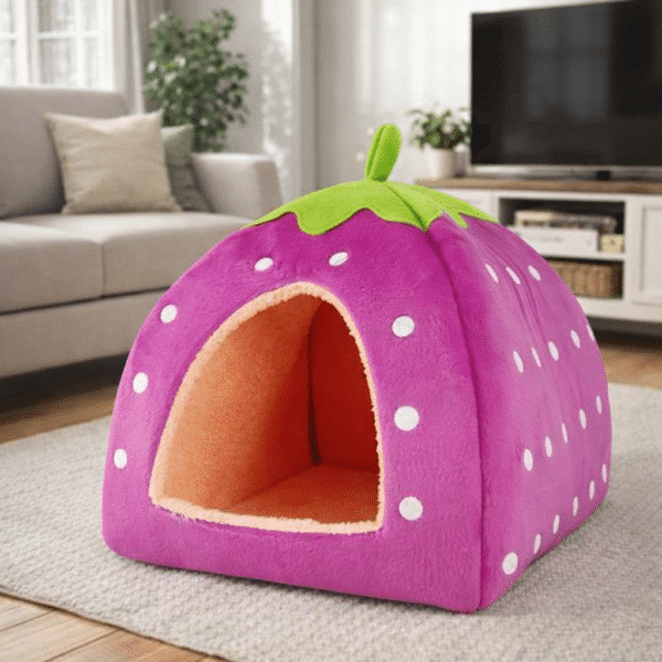 Niche fraise violet petit chien