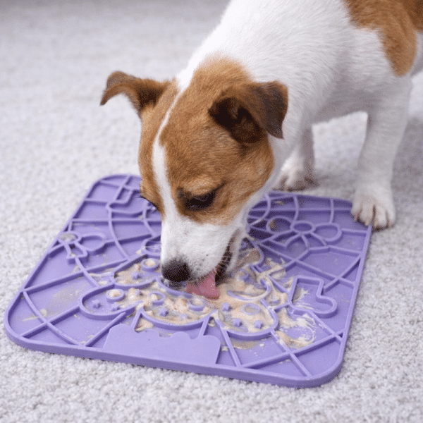 Tapis de léchage forme sapin violet pour chien
