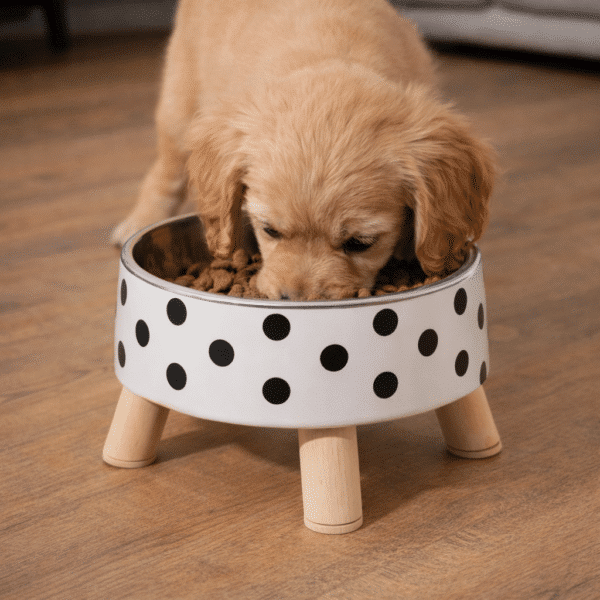 Gamelle à pois pieds en bois chien