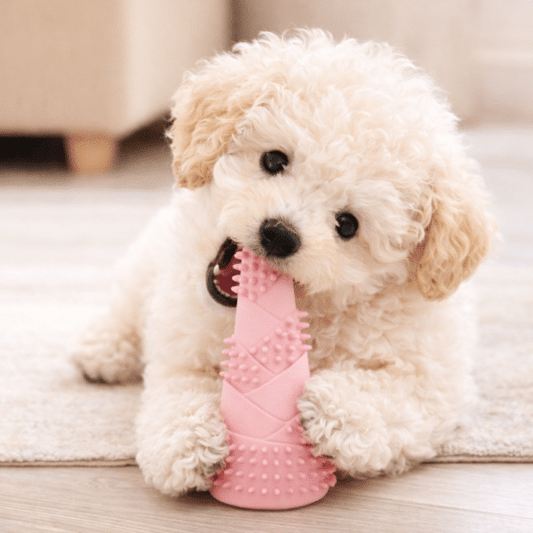 Jouet rose pour faire dents chien