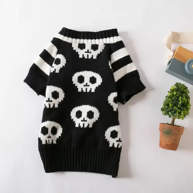 Pull crâne halloween blanc et noir chien 2