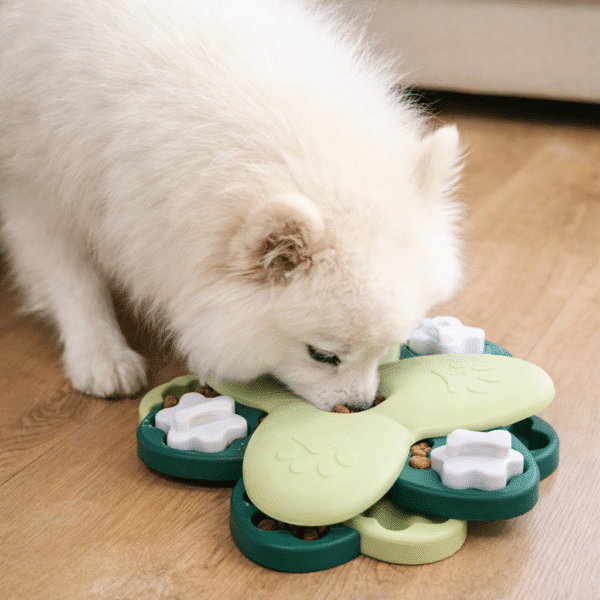 Distributeur croquette vert et blanc