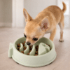 Gamelle anti glouton poisson vert chien
