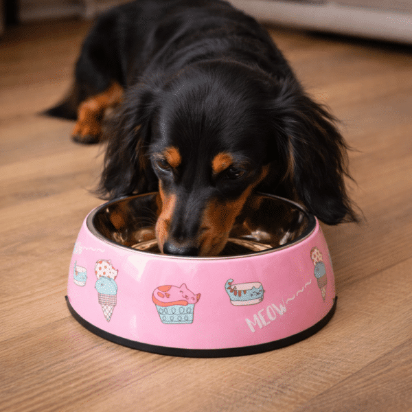 Gamelle chien : inox rose motif chat meow