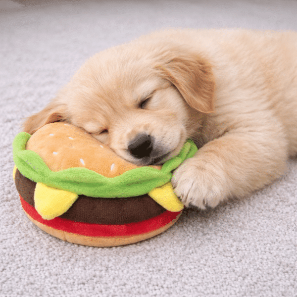 Peluche hamburger pour chien