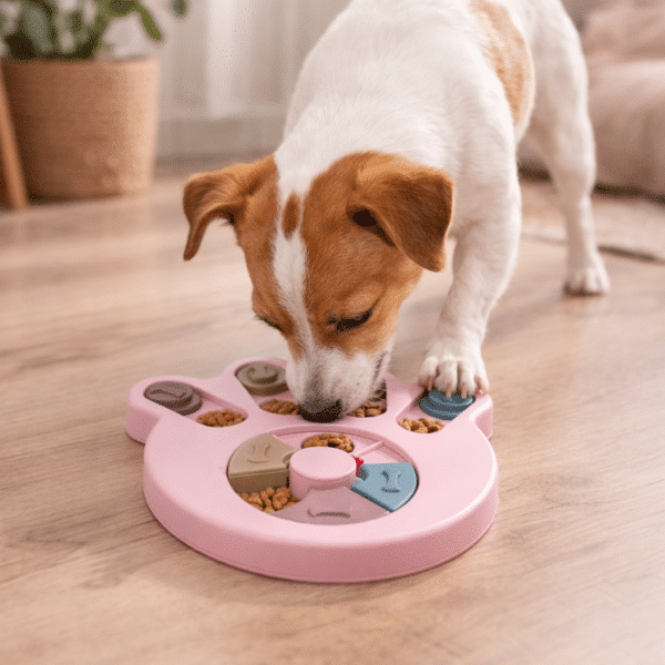 Distributeur croquette pattes rose pour petit chien