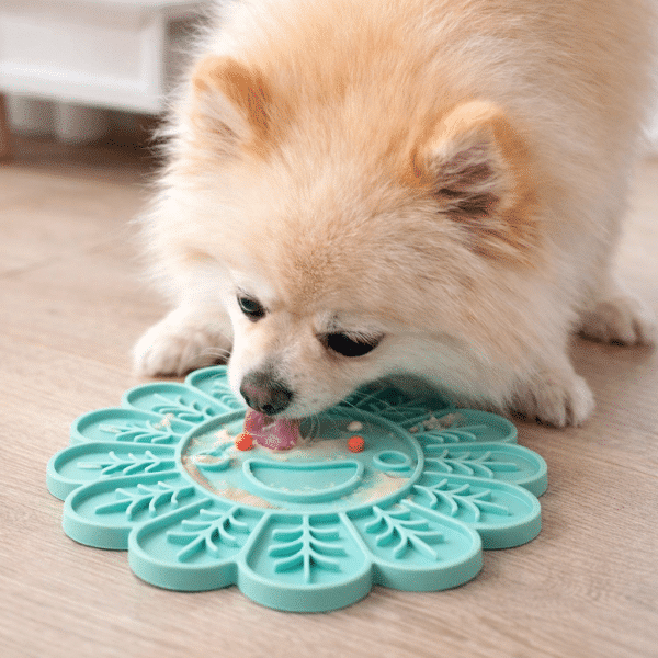 Tapis de léchage fleur bleu pour petit chien