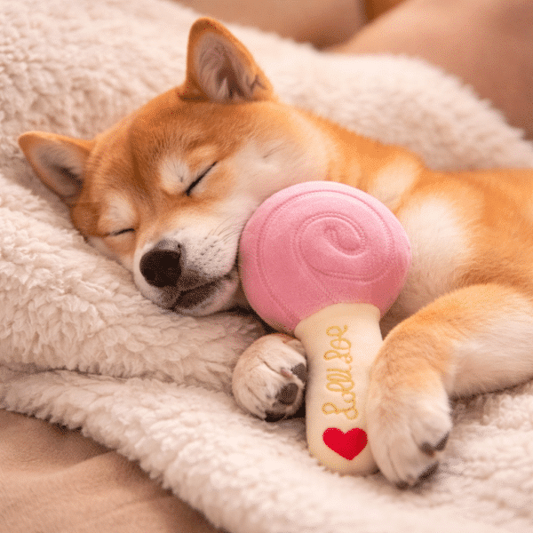 Peluche sucette pour chien