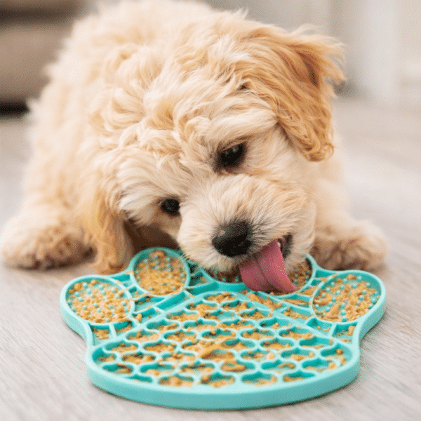 Tapis de léchage patte bleu pour petit chien