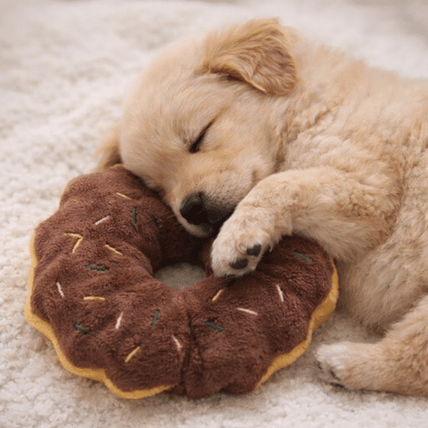 Peluche donut marron pour chien