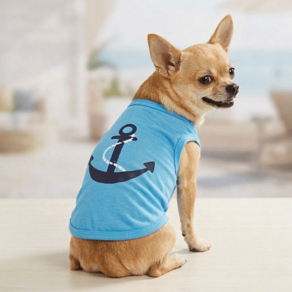 Tee shirt chihuahua ancre bleu marine