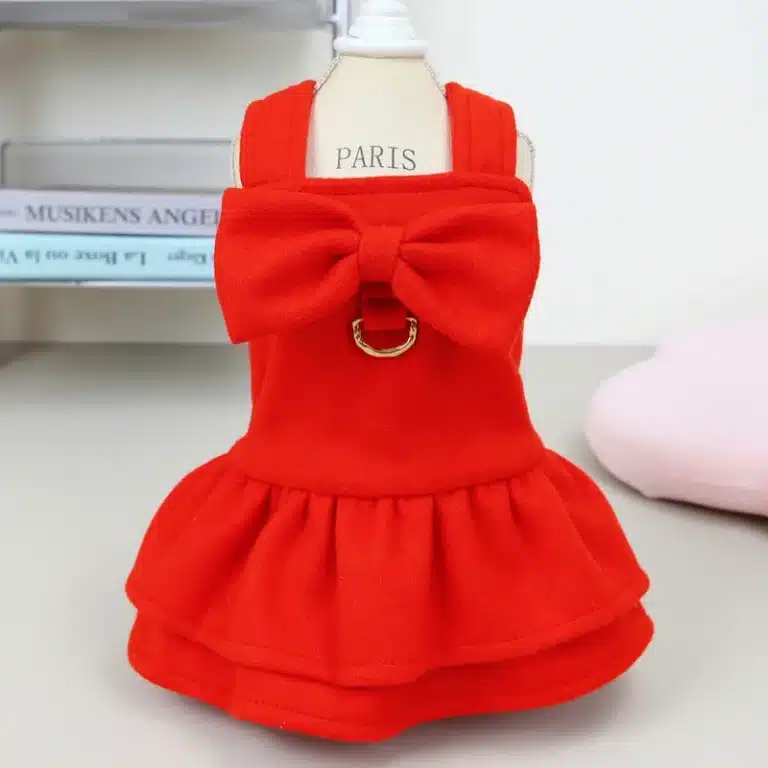 Harnais robe rouge chihuahua + laisse 6