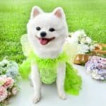 65beebfd-ec95-4f6d-843d-1c3eea248c95