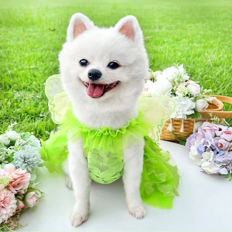 65beebfd-ec95-4f6d-843d-1c3eea248c95