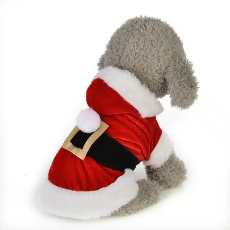 Déguisement noel chien 2