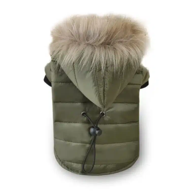 Manteau Chihuahua : Doudoune col fourrure verte 27