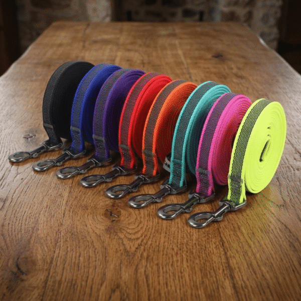 Laisse de dressage pour chien 3 mètres