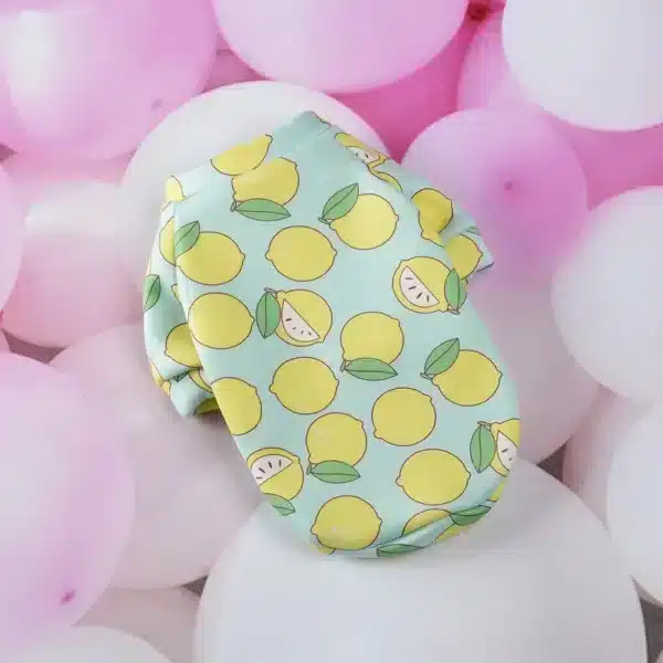 Pull spitz citron bleu et jaune 6