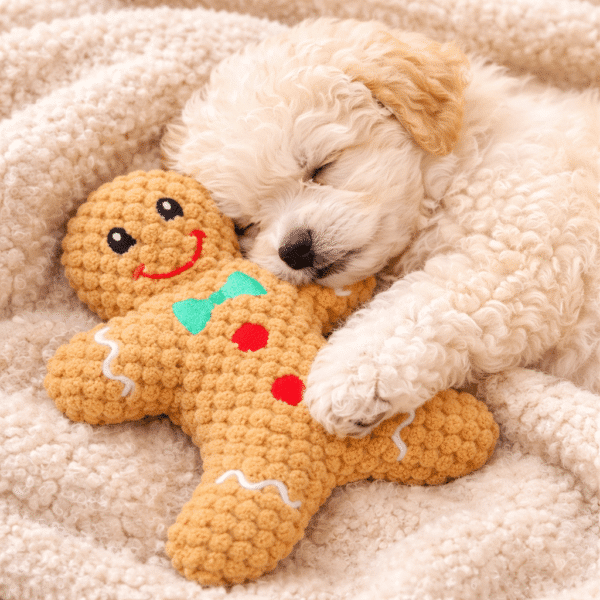 Peluche pain d'épice noël petit chien