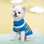 Pull col roulé bleu chihuahua 5