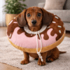 Collerette donuts petit chien