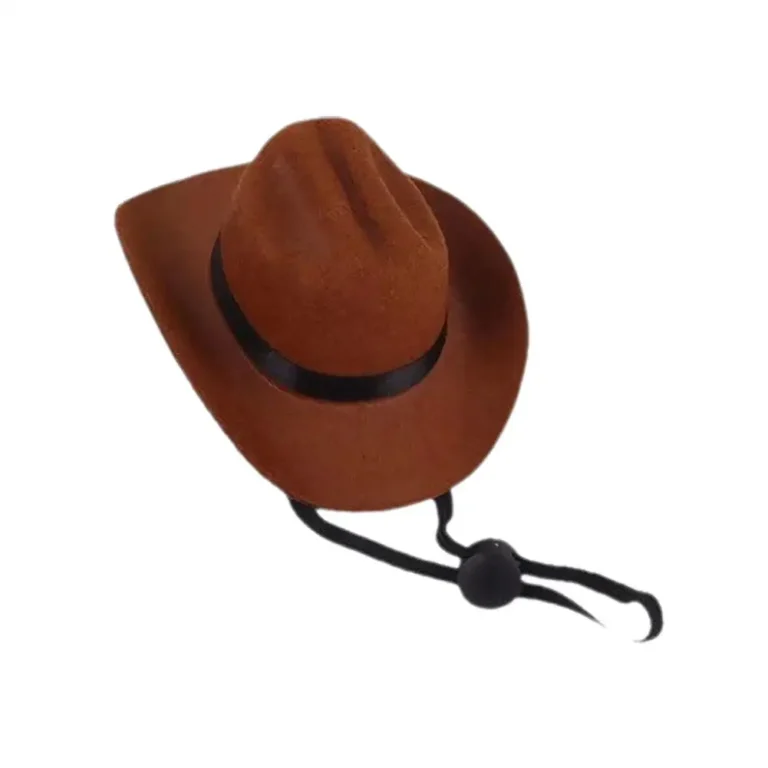 Chapeau de Cowboy pour chien 6