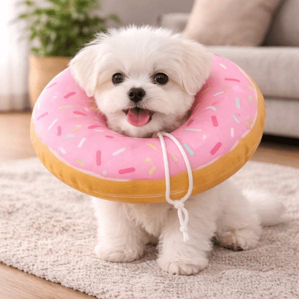 Collerette donuts rose petit chien