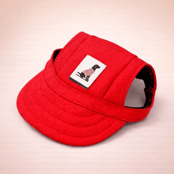 Casquette rouge pour chien
