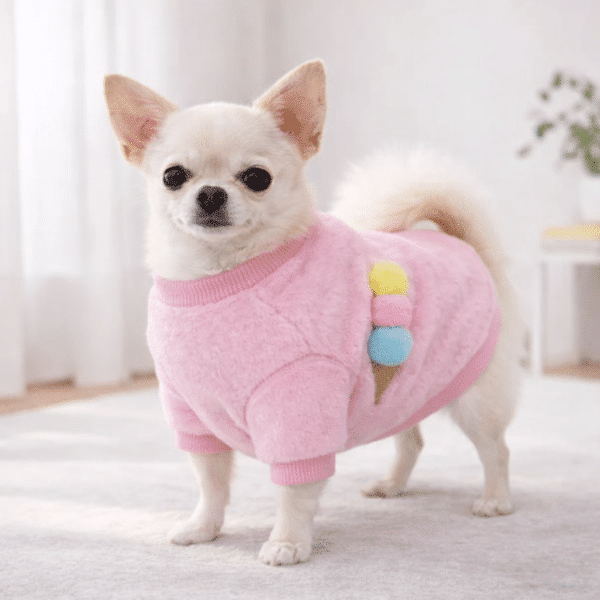 Pull licorne chihuahua