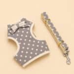Ensemble Harnais Et Laisse À Pois Gris Petit Chien1