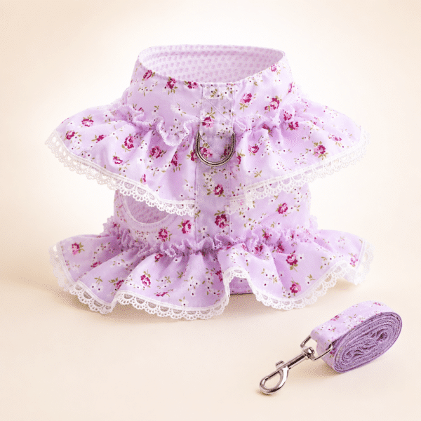 Harnais petit chien dentelle violet et blanc + laisse