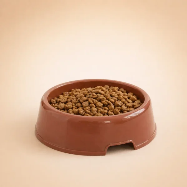 Gamelle marron petit chien