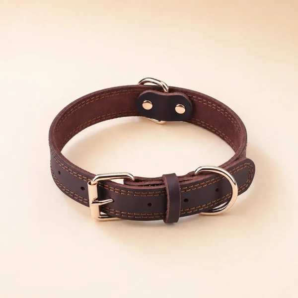 Collier en cuir petit chien