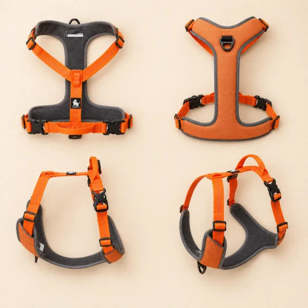 Harnais truelove pour chien