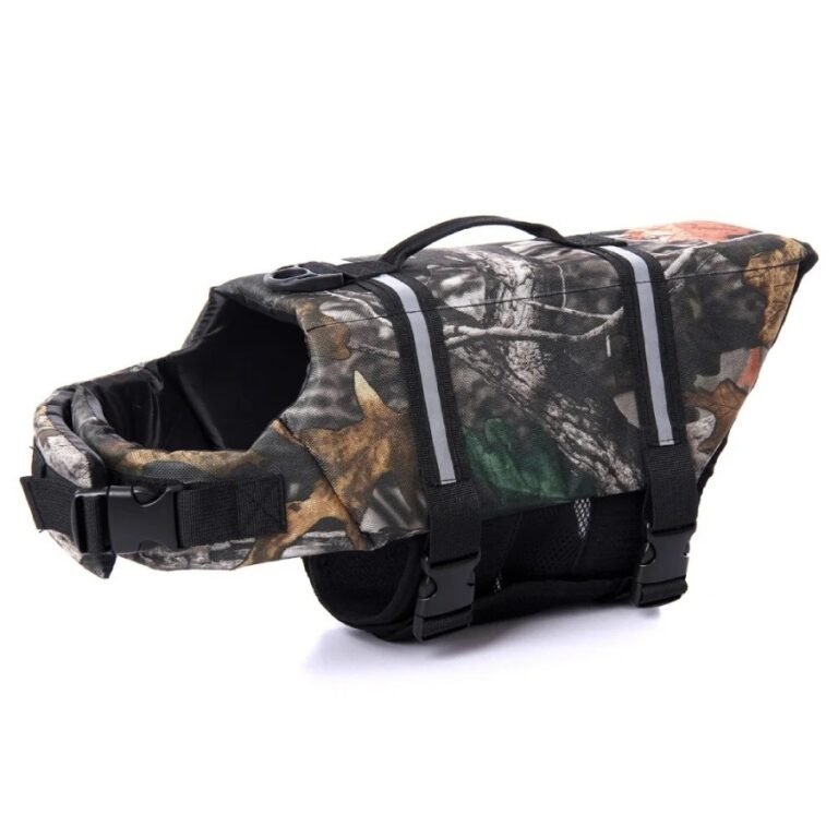 Nouveau projet – 2026-03-15T181030.884