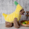 Déguisement banane petit chien