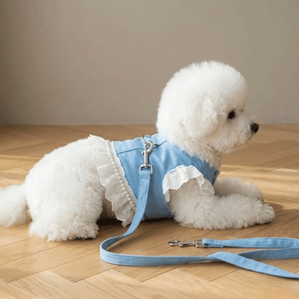 Harnais chien perle dentelle bleu et blanc + laisse