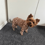 b6997aa4-bfbb-4b2f-b68e-9a19850722bc_cleanup