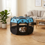 bb6da8c7-56ff-4022-91bc-689667030a6f_cleanup