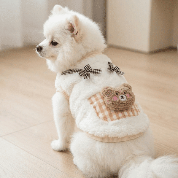 Pull tout doux ourson pour spitz