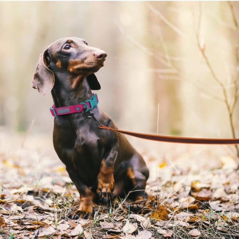 d2b027cd-0f4d-4818-b556-9034eeb5f266