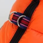 ee25dee9-b1d6-429d-b769-37cc21c7bdbd