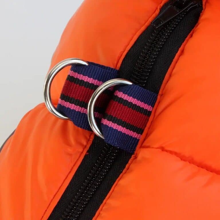 ee25dee9-b1d6-429d-b769-37cc21c7bdbd