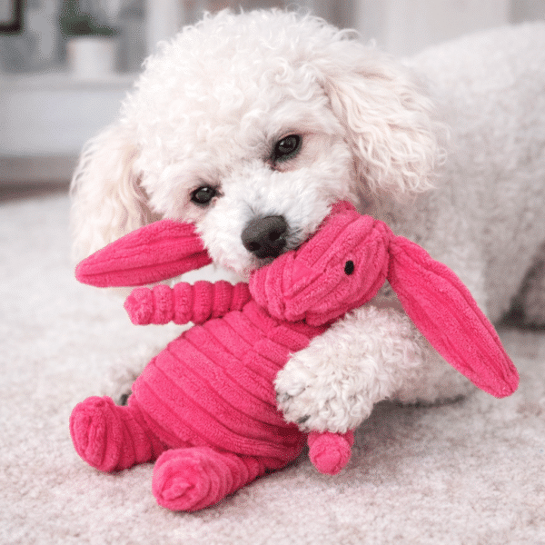 Jouet en peluche côtelé rose pour chien